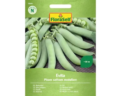 Obrázek produktu pro Sladký hrách Evita FloraSamostatně výsevná stabilní semena zeleniny