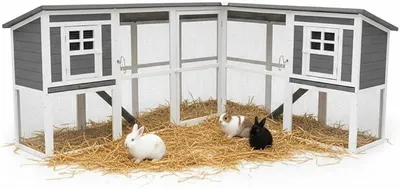 Imagen del producto de Jaula para animales pequeños, con recinto exterior, de 251 x 190,5 x 104 cm