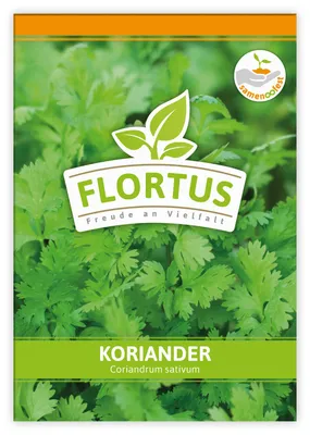 Produktbild von Koriander | Koriandersamen von FLORTUS