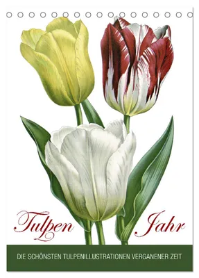 Produktbild von Tulpen - Jahr (Tischkalender 2027 DIN A5 hoch), CALVENDO Monatskalender