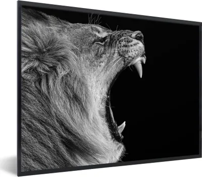 Produktbild von MuchoWow® Gerahmtes Poster Tiere - Löwe - Schwarz - Weiß - Porträt 80x60 cm - Poster mit Schwarzem Bilderrahmen Wandposter Rahmen Foto Bilder - Schwarzem - Mit Gestell