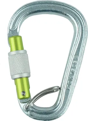 HMS Bruce Steel Screw FG Karabiner von Edelrid; silber mit grünem Verschlussmechanismus.