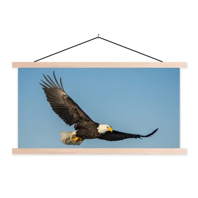 Produktbild von MuchoWow® Textilposter Vogel - Adler - Raubvögel 60x30 cm mit holzfarbenen Rahmen - Dekoration