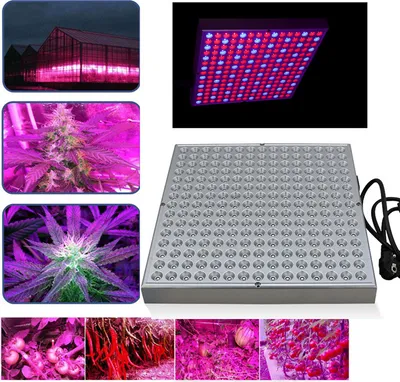 Produktbild von Peviasot 15W LED Zimmerpflanzen Pflanzenlampe Grow Lampe Pflanzenlicht  Wachstumslampe