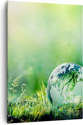 Produktbild von Bild auf Leinwand - Leinwandbild - Einteilig - natur natur - 70x100cm - Wand Bild - Wanddeko - Wandbilder - Leinwanddruck - Kunstdruck - Wanddekoration - Leinwand bilder - Wandbild - PA70x100-4041