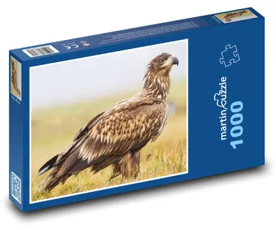 Produktbild von Puzzle 1000 Majestätischer Seeadler - martinpuzzle