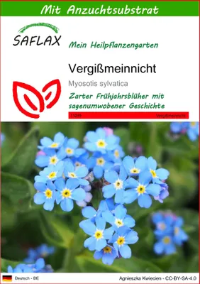 Produktbild von SAFLAX  - Vergißmeinnicht - Myosotis sylvatica - 150 Samen - Mit keimfreiem Anzuchtsubstrat