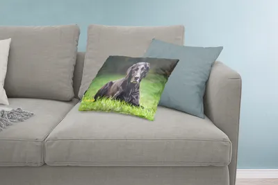 Produktbild von MuchoWow® Zierkissen Sofakissen Wohnzimmer Dekokissen 60x40 cm Ein schwarzer Labrador im Gras - Kopfkissen - Polster mit Foto