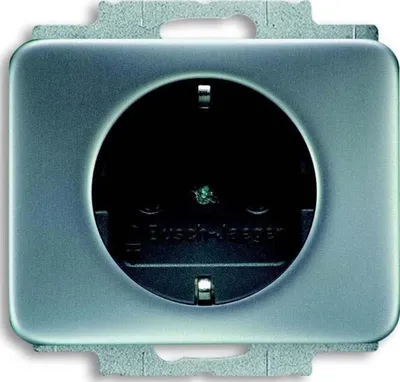 Produktbild von Busch-Jaeger SCHUKO® Steckdosen-Einsatz titan - alpha, 1 Stk.