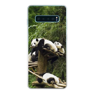 Produktbild von MuchoWow® Handyhülle Schutzhülle Hülle für Samsung Galaxy S10 Plus Pandas - Holz - Treppe Silikon Softcase Handy Hülle - Schutzhülle