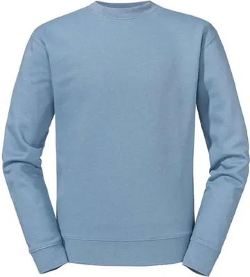 Image de Russell - Sweat à capuche "Authentic" pour homme PC5055 (L) (Bleu gris)