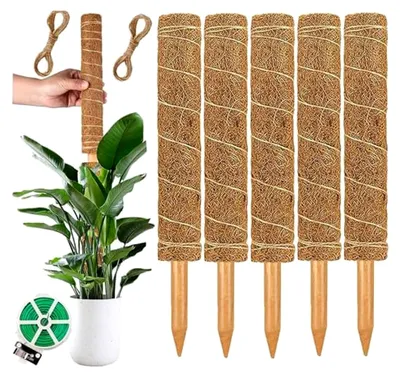 Produktbild von 30 cm lange Pflanzenstütze aus Moosstangen für Kletterpflanzen