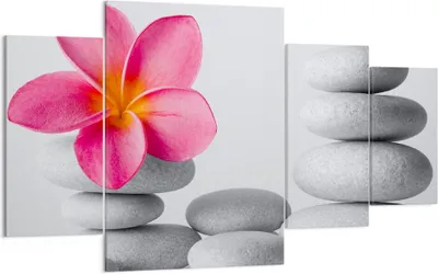 Produktbild von Bild auf Leinwand - Leinwandbild - Spa buddhismus ruhig blume - 160x90cm - Wand Bild - Wanddeko - Leinwanddruck - Bilder - Kunstdruck - Wanddekoration - Leinwand bilder - Wandkunst - DL160x90-2304