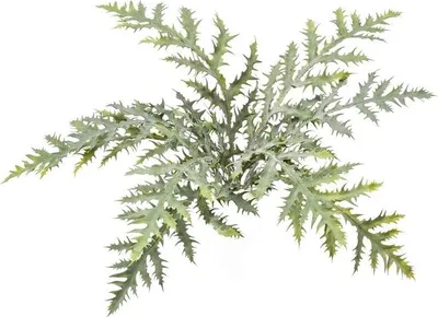 Produktbild von artplants.de Künstlicher Goldtüpfelfarn MIHALLY auf Steckstab, grün, 50cm - Kunst Farnpflanze