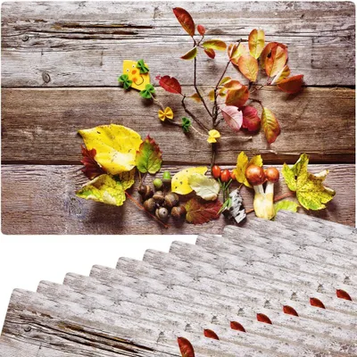 Immagine prodotto di Set di 12 tovagliette lavabili con foglie autunnali colorate