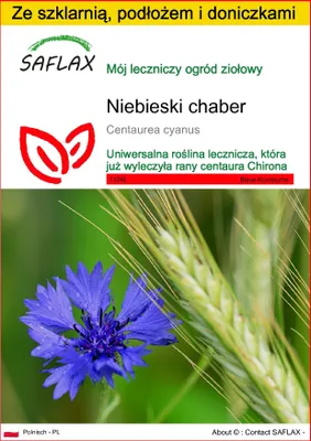 Zdjęcie produktu dla SAFLAX - Zestaw do uprawy - Niebieski chaber - 27000 Nasiona - Z mini szklarnią, podłożem uprawowym i 2 doniczkami - Centaurea cyanus