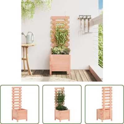 Produktbild von The Living Store Pflanzkübel mit Rankhilfe 39x39,5x114 cm Massivholz Douglasie