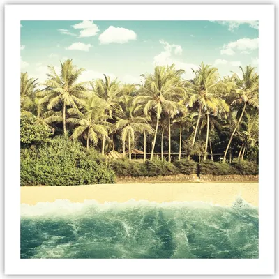 Produktbild von Poster - Poster ohne Rahmen - Natur Strand Palmen - 60x60 cm - Wand Bild - Wanddeko - Wandbilder - Kunstposter - Wandposter - Bilder - Kunstdruck - Wanddekoration - Wandbild - P2XAC60x60-4915