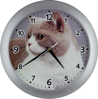 Produktbild von EUROTIME Kinderwanduhr Katze