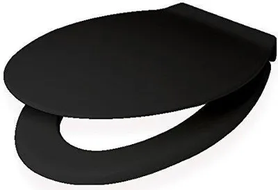 A black toilet seat is shown from a slightly elevated, diagonal angle against a white background.