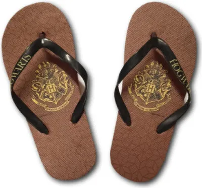 Produktbild von Harry Potter Hogwarts Kinder Flip Flops – Braun / 29