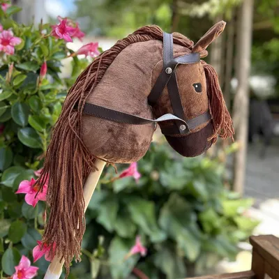 Image de Hobby Horse Flambeau alezan avec crinière marron - Taille A5