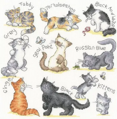 Immagine prodotto di Confezione da ricamo a punto croce Bothy Threads "Meow!", schema contato, XKG15, 26x26cm