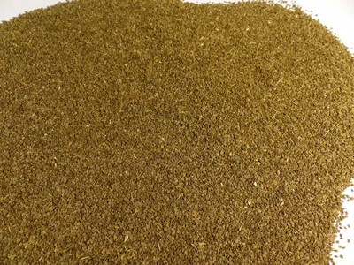 Produktbild von Sellerie Saat ganz Naturideen® 100g