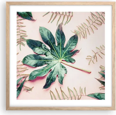 Produktbild von Gerahmtes Poster - Rahmen in heller Eiche - Blatt Tropisch Palme - 50x50 cm - Wand Bild - Wanddeko - Wandbilder - Wandposter - Bilderrahmen - Bilder - Kunstdruck - Wandbild - P2NAC50x50-4314