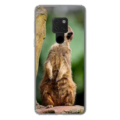 Produktbild von MuchoWow® Handyhülle Schutzhülle Hülle für Huawei P40 Lite Erdmännchen - Tier - Rock Silikon Softcase Handy Hülle - Handy