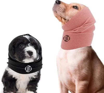 Image de Protection pour les oreilles des chiens, confortable