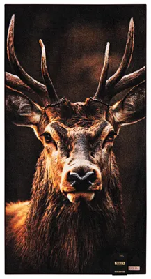 Produktbild von Zwoltex Handtuch mit Motiv Hirsch""
