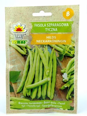 Zdjęcie produktu dla Fasola szparagowa tyczka Hilds Neckarkoningin 10g