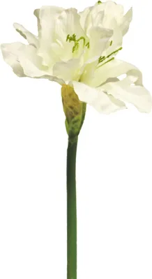 Produktbild von artplants.de Kunstblume Amaryllis HEJIA, Creme, 60 cm - Künstliche Stielblume