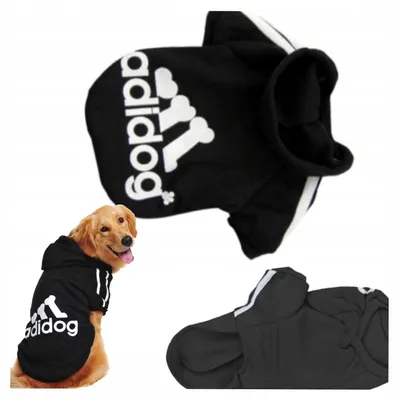 Produktbild von Petinio ADIDOG Hundebluse mit Kapuze Schwarz Warm Größe 8XL