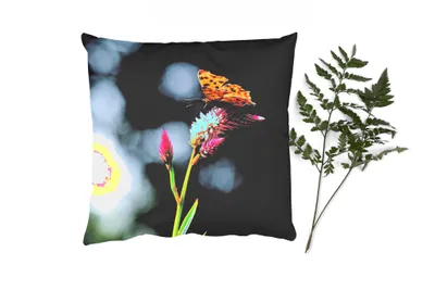 Produktbild von MuchoWow® Zierkissen Sofakissen Wohnzimmer Dekokissen 60x60 cm Schmetterling - Blumen - Insekten - Sitzfläche - Foto Polster
