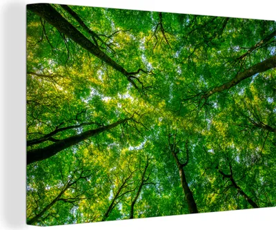 Produktbild von OneMillionCanvasses® - Leinwandbilder - 150x100 cm, Wald - Bäume - Grün, Wandbilder Kunstdruck Wanddekoration