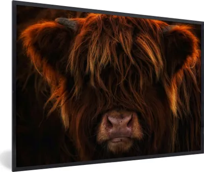Produktbild von MuchoWow® Gerahmtes Poster Schottischer Highlander - Kuh - Porträt - Tiere 90x60 cm - Poster mit Schwarzem Bilderrahmen Wandposter Rahmen Foto Bilder - Fotorahmen - Foto-Plakat