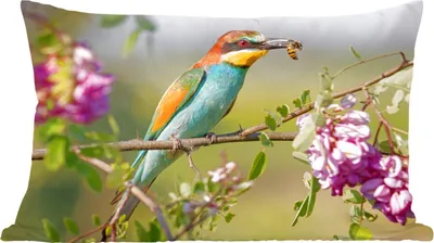 Produktbild von MuchoWow® Zierkissen Sofakissen Wohnzimmer Dekokissen 60x40 cm Vogel - Bienenfresser - Blumen - Kopfkissen - Polster mit Foto