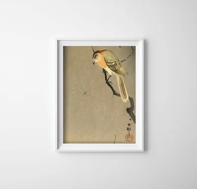 Produktbild von Poster - Canvas - Leinwand - 42 cm x 59,4 cm - Vogel auf einem Ast und Spinne
