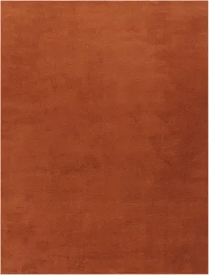 Produktbild von TT Home Wohnzimmer Teppich Kurzflor Anti-Rutsch Rückseite Unifarben Modern Waschbar Größe 300x400 cm