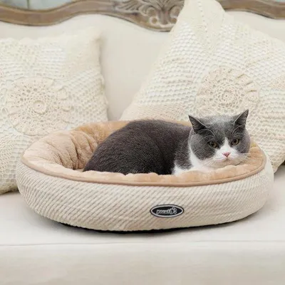 Immagine prodotto di Cuccia per gatti Kunstbont, 50 L x 50 L x 15 P, pieghevole, morbida, piccola, per gatti o cani di piccola taglia