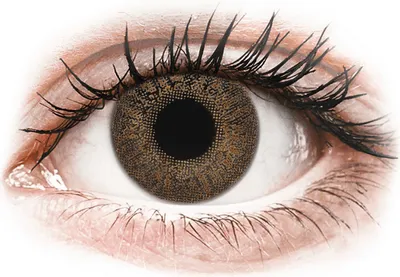 Zdjęcie produktu dla TopVue Color - Brown - korekcyjne (2 soczewki) Moc: -9.00, (BC): 8.60, DIA: 14.20