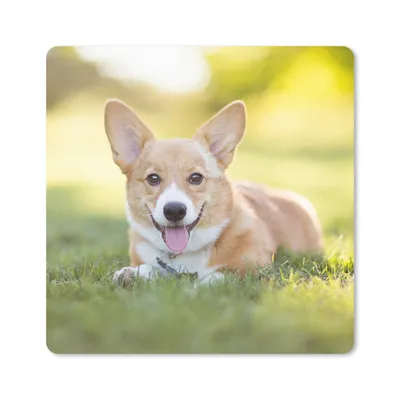 Produktbild von MuchoWow® Mauspad Mousepad Welsh Corgi Welpe 30x30 cm - Mousepads - Maus Mat - Pad - Mausunterlage - Gaming