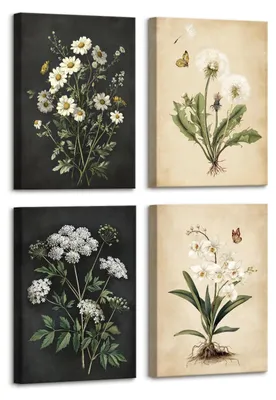 Obrázek produktu pro Solidchoice - 4 kusy dřevěných fotorámečků s vintage botanickými motivy - dekorace na zeď