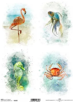 Produktbild von ITD Reispapier Decoupage Bastelpapier Softpapier Serviettentechnik, Meerestiere R1610