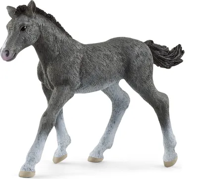 Immagine prodotto di Schleich Horse Club 13944 Puledro Trakehner