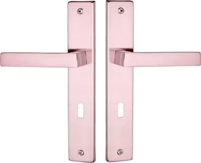 A pair of door handles with backplates, shown against a white background.
