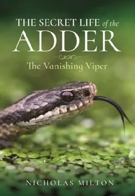 Image de The Secret Life of the Adder