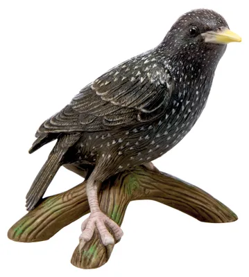Vogelfigur aus Porzellan, 12 cm, Star 2018